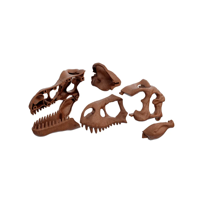 Ausgrabungs-Set Riesenschädel des T-Rex - Image 4