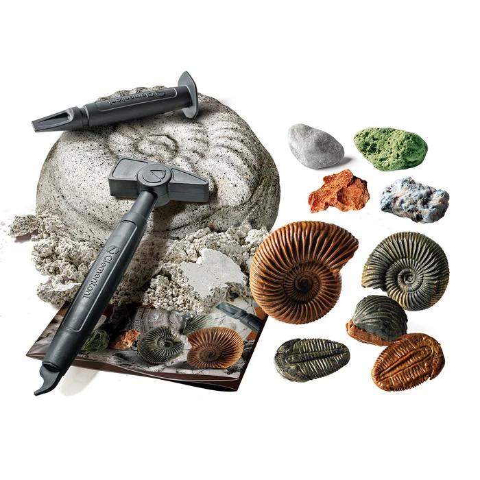 Austrabungs-Set Fossilien & Mineralien - Image 4