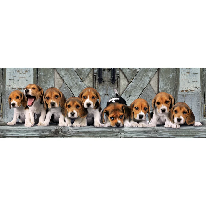Beagles - 1000 teile - Image 2