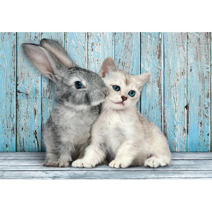 Cat & Bunny - 500 teile - Image 2