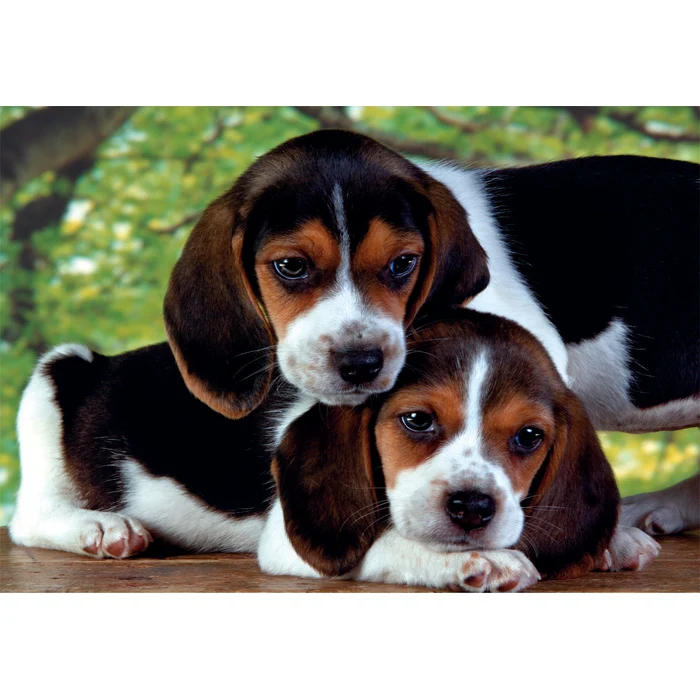 Close Together - 500 teile - Image 2