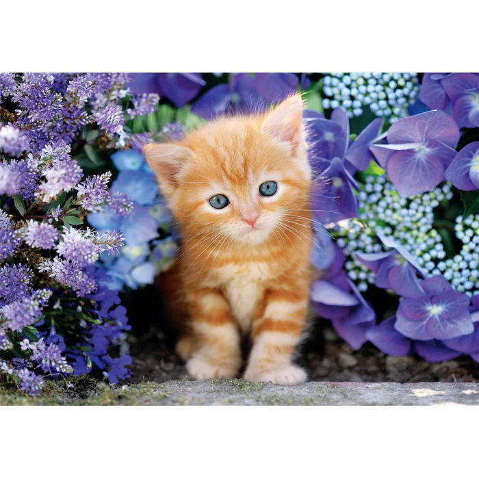 Ginger Cat - 500 teile - Image 2