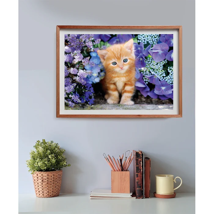 Ginger Cat - 500 teile - Image 3