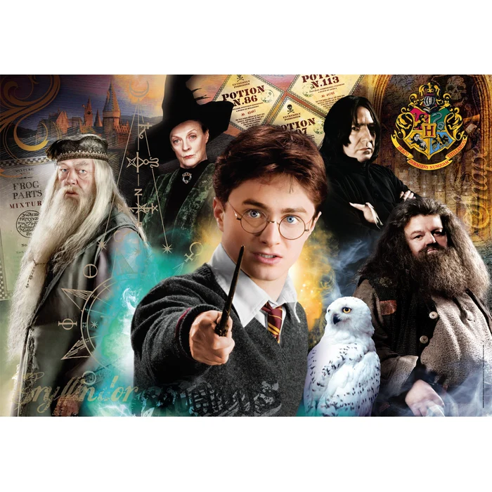 Harry Potter - 500 teile - Image 2