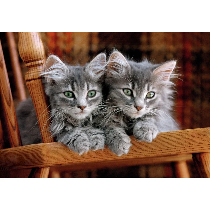 Kittens - 500 teile - Image 2