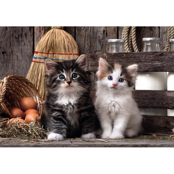Lovely Kittens - 1000 teile - Image 2