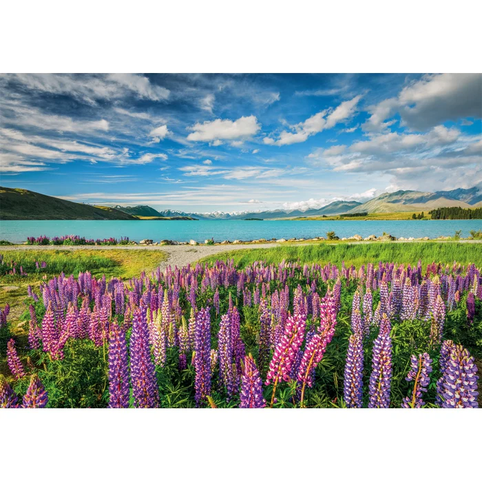 Lupins At Lake Tekapo - 1500 teile - Image 2