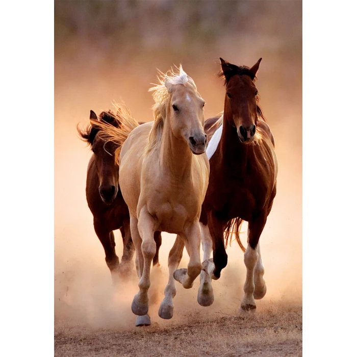Running Horses - 1000 teile - Image 2